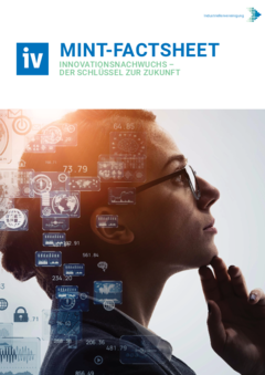 MINT Factsheet